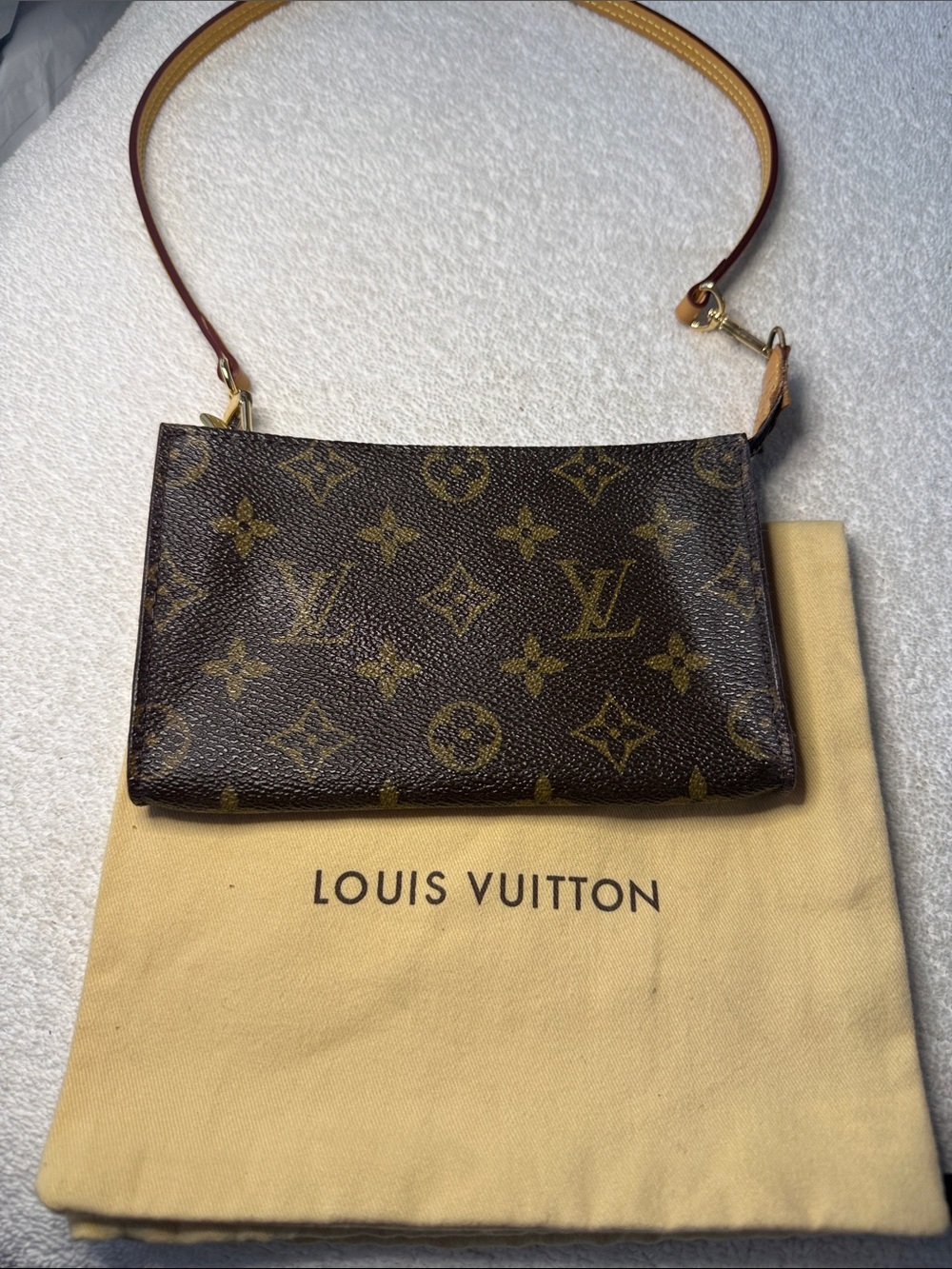 Authentic Louis Vuitton Monogram Bucket PM Accessories Pochette